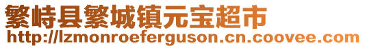 繁峙县繁城镇元宝超市