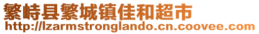 繁峙县繁城镇佳和超市