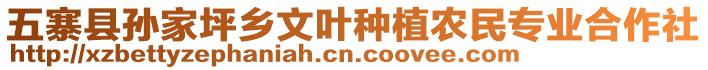 五寨縣孫家坪鄉(xiāng)文葉種植農(nóng)民專業(yè)合作社