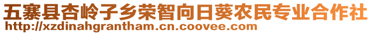 五寨縣杏嶺子鄉(xiāng)榮智向日葵農(nóng)民專業(yè)合作社