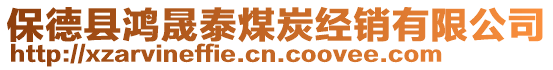 保德縣鴻晟泰煤炭經(jīng)銷有限公司