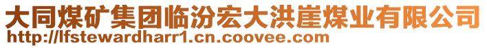 大同煤礦集團臨汾宏大洪崖煤業(yè)有限公司