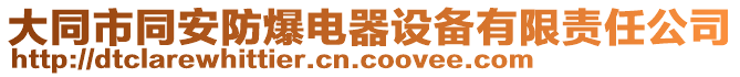 大同市同安防爆电器设备有限责任公司