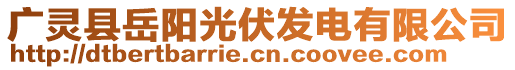 廣靈縣岳陽光伏發(fā)電有限公司