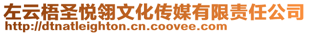 左云梧圣悅翎文化傳媒有限責(zé)任公司