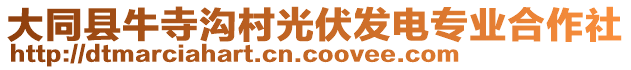 大同縣牛寺溝村光伏發(fā)電專業(yè)合作社