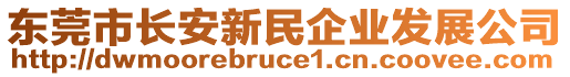 東莞市長安新民企業(yè)發(fā)展公司