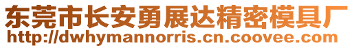東莞市長安勇展達精密模具廠