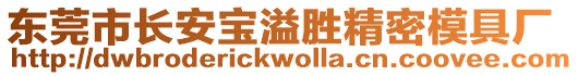 東莞市長安寶溢勝精密模具廠