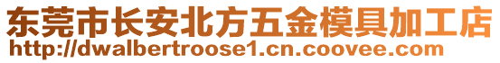 東莞市長安北方五金模具加工店