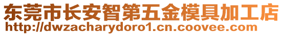 東莞市長安智第五金模具加工店