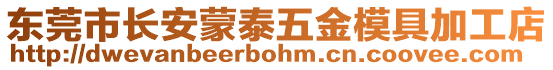 東莞市長安蒙泰五金模具加工店