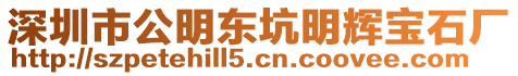 深圳市公明東坑明輝寶石廠