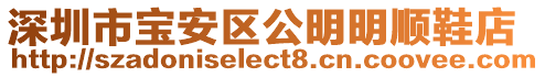 深圳市寶安區公明明順鞋店