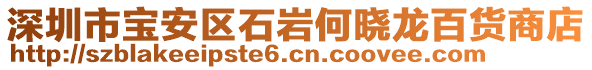 深圳市寶安區(qū)石巖何曉龍百貨商店