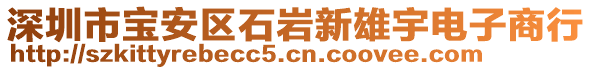 深圳市寶安區(qū)石巖新雄宇電子商行