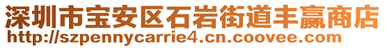 深圳市寶安區(qū)石巖街道豐贏商店