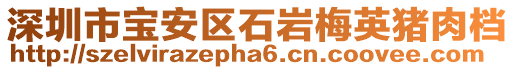 深圳市寶安區石巖梅英豬肉檔