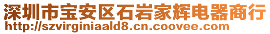 深圳市宝安区石岩家辉电器商行