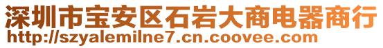 深圳市宝安区石岩大商电器商行