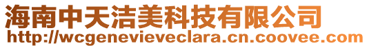 海南中天潔美科技有限公司