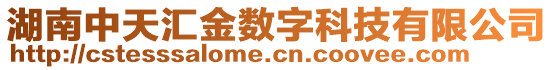 湖南中天匯金數(shù)字科技有限公司