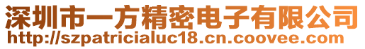 深圳市一方精密電子有限公司