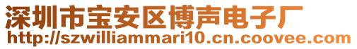 深圳市寶安區(qū)博聲電子廠