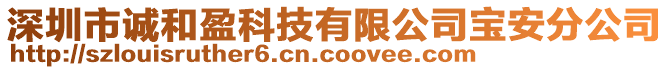 深圳市誠和盈科技有限公司寶安分公司