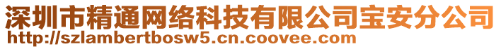 深圳市精通網(wǎng)絡(luò)科技有限公司寶安分公司