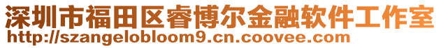 深圳市福田區(qū)睿博爾金融軟件工作室