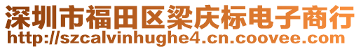 深圳市福田區(qū)梁慶標電子商行