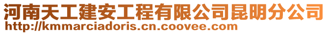 河南天工建安工程有限公司昆明分公司