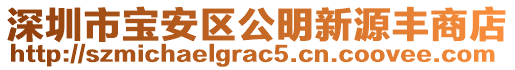 深圳市寶安區(qū)公明新源豐商店