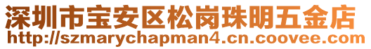 深圳市寶安區(qū)松崗珠明五金店