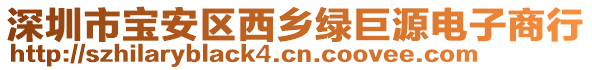 深圳市寶安區(qū)西鄉(xiāng)綠巨源電子商行