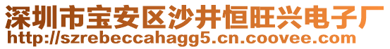 深圳市寶安區(qū)沙井恒旺興電子廠