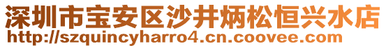 深圳市寶安區(qū)沙井炳松恒興水店