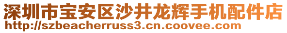 深圳市寶安區(qū)沙井龍輝手機(jī)配件店