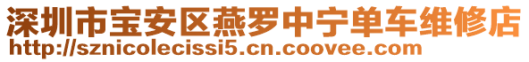 深圳市寶安區(qū)燕羅中寧單車維修店