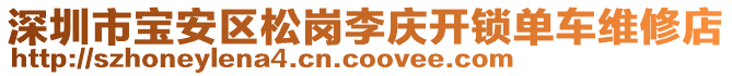 深圳市寶安區(qū)松崗李慶開(kāi)鎖單車(chē)維修店