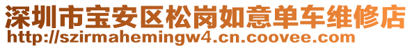 深圳市寶安區(qū)松崗如意單車維修店