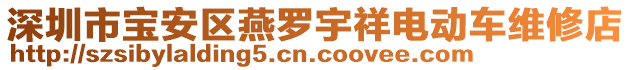 深圳市寶安區(qū)燕羅宇祥電動(dòng)車維修店