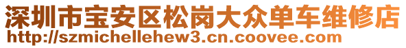 深圳市寶安區(qū)松崗大眾單車維修店