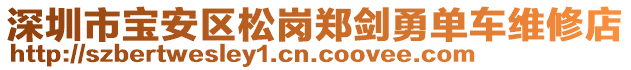 深圳市寶安區(qū)松崗鄭劍勇單車維修店