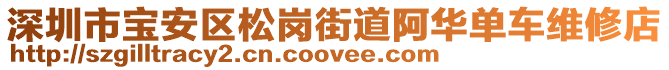 深圳市寶安區松崗街道阿華單車維修店