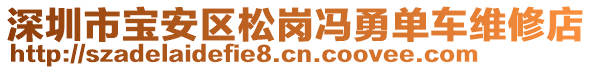 深圳市寶安區(qū)松崗馮勇單車維修店