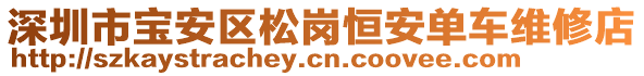 深圳市寶安區(qū)松崗恒安單車維修店