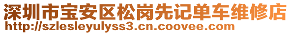 深圳市寶安區(qū)松崗先記單車維修店