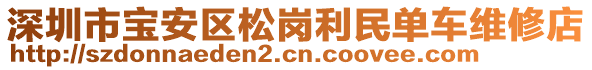 深圳市寶安區(qū)松崗利民單車維修店